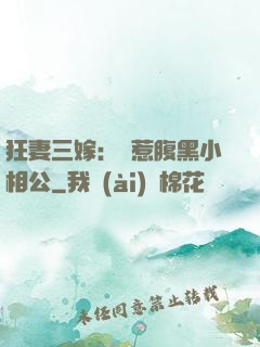 狂妻三嫁：誤惹腹黑小相公