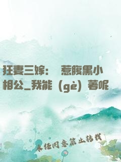 狂妻三嫁：誤惹腹黑小相公