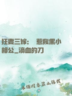 狂妻三嫁：誤惹腹黑小相公