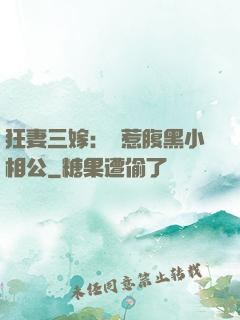 狂妻三嫁：誤惹腹黑小相公
