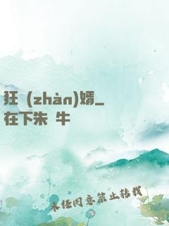 狂戰(zhàn)婿