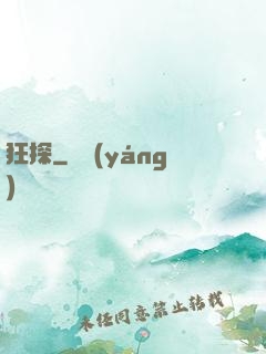 狂探