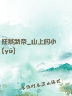 狂暴武帝