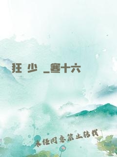 狂獅少帥