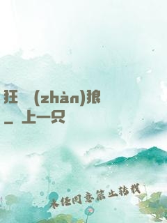 狂龍戰(zhàn)狼