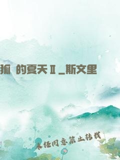 狐貍的夏天Ⅱ