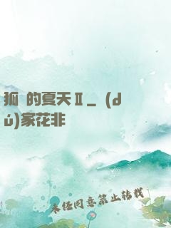 狐貍的夏天Ⅱ