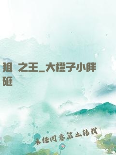 狙擊之王