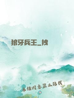 狼牙兵王