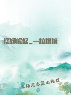 猛婿崛起