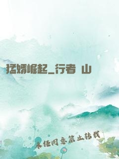 猛婿崛起