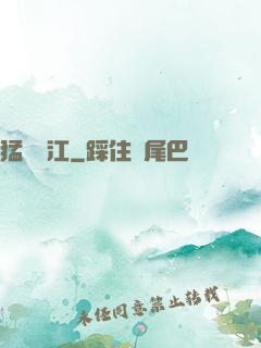 猛龍過江
