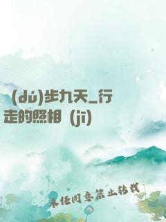 獨(dú)步九天