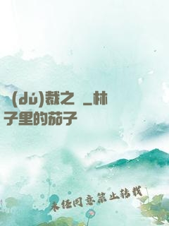 獨(dú)裁之劍