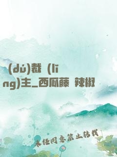 獨(dú)裁領(lǐng)主