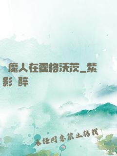 獵魔人在霍格沃茨