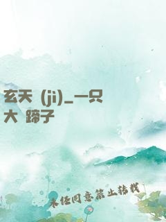 玄天紀(jì)