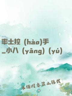 率土控號(hào)手