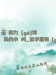 玉兒和九個(gè)特種兵的小說叫