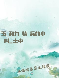 玉兒和九個特種兵的小說叫
