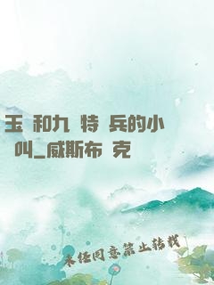 玉兒和九個特種兵的小說叫