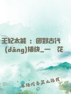 王妃太能鬧：回到古代當(dāng)捕快