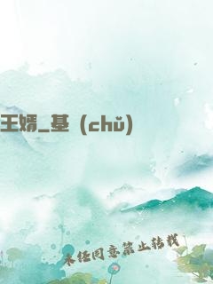 王婿