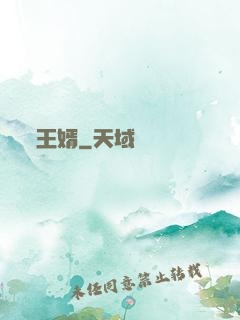 王婿