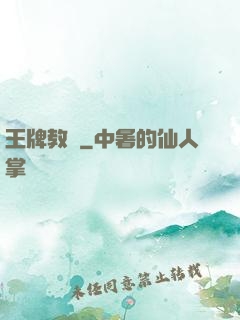 王牌教師