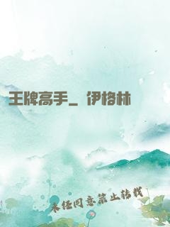 王牌高手