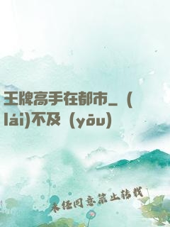王牌高手在都市