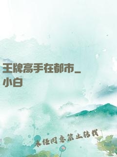 王牌高手在都市
