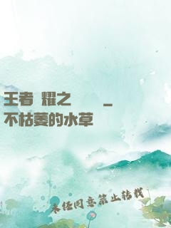 王者榮耀之橫掃無敵