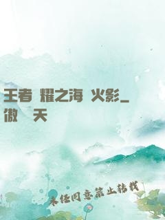 王者榮耀之海賊火影