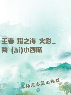 王者榮耀之海賊火影