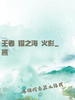王者榮耀之海賊火影