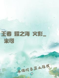 王者榮耀之海賊火影