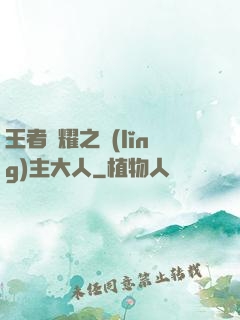 王者榮耀之領(lǐng)主大人