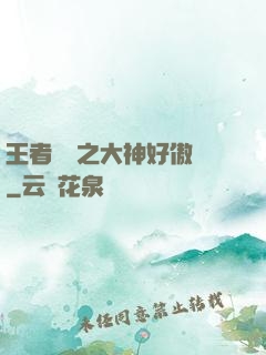 王者歸來之大神好傲嬌