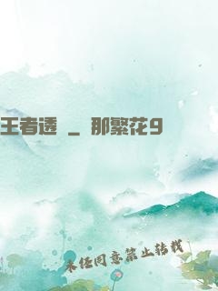王者透視
