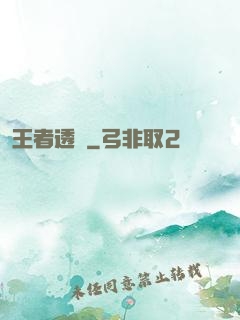 王者透視