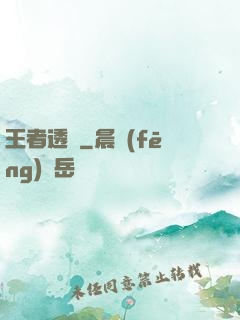 王者透視