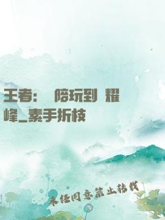 王者：從陪玩到榮耀巔峰