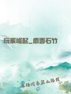 玩家崛起