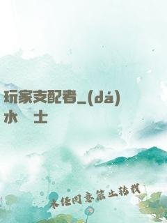 玩家支配者