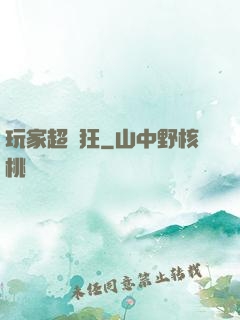 玩家超瘋狂