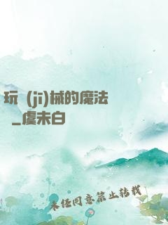 玩機(jī)械的魔法師