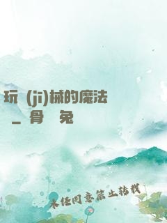 玩機(jī)械的魔法師