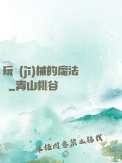 玩機(jī)械的魔法師