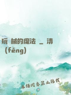 玩機械的魔法師